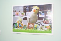 /album/galeria-de-fotos/a001-jpg/